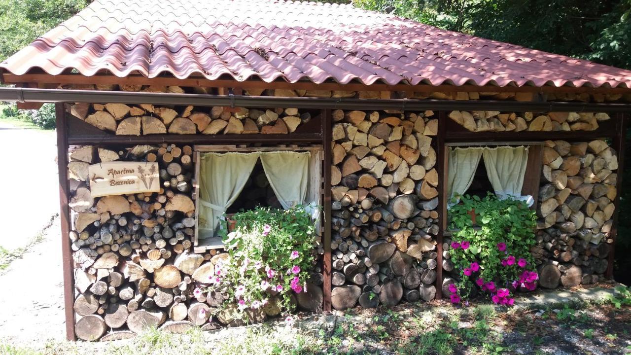 Appartment Bezenica Dobrova Eksteriør billede